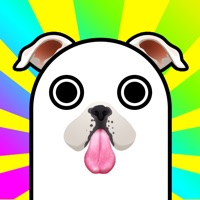 Contacter Face Filters - Dog & Other Funny Face Effects