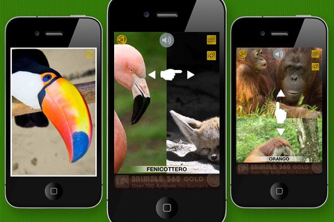 Animals 360 screenshot 3