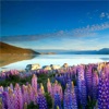 Lake Tekapo Wallpapers HD: Quotes with Art