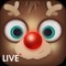 Watch Reindeer Live in the North Pole