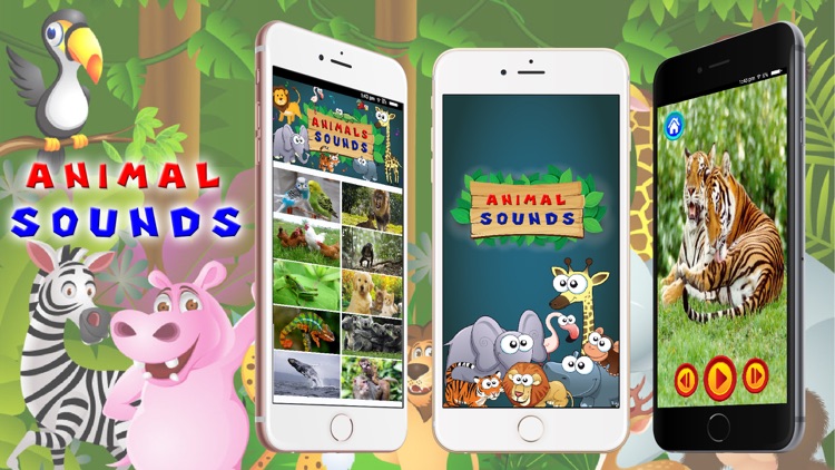 Animal Sounds - Toddler Animal Sounds and Pictures