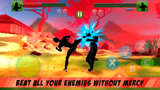 Shadow Kung Fu Fighting 3D(圖4)-速報App