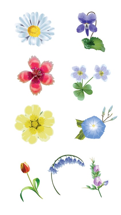 Roses and Flowers - Flower Art - Love, Friendship
