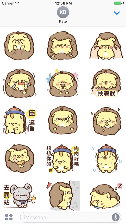 Furry Hedgehog dog YuanYuan(刺蝟狗-圓圓初登場) screenshot-3