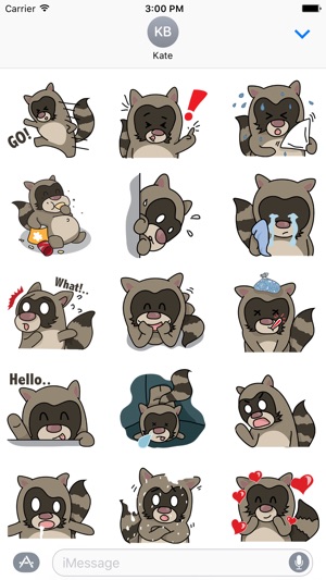 Racoons Racoons Sticker(圖2)-速報App