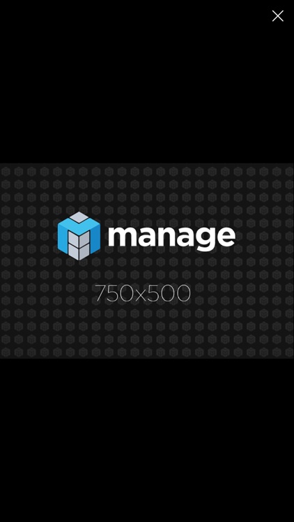 Manage Preview