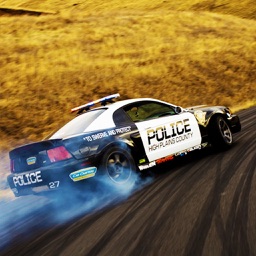Police Stunts Crazy Driving School Real Race Game