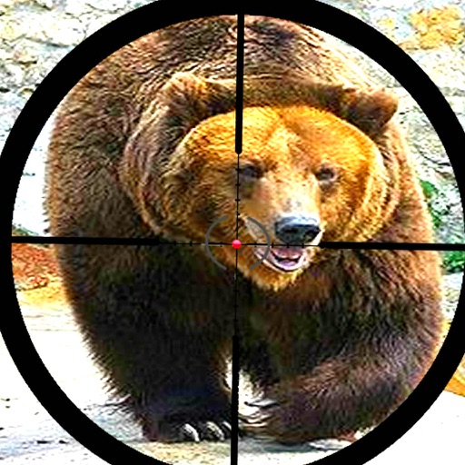 Amazing Bear Hunter 2016 Icon