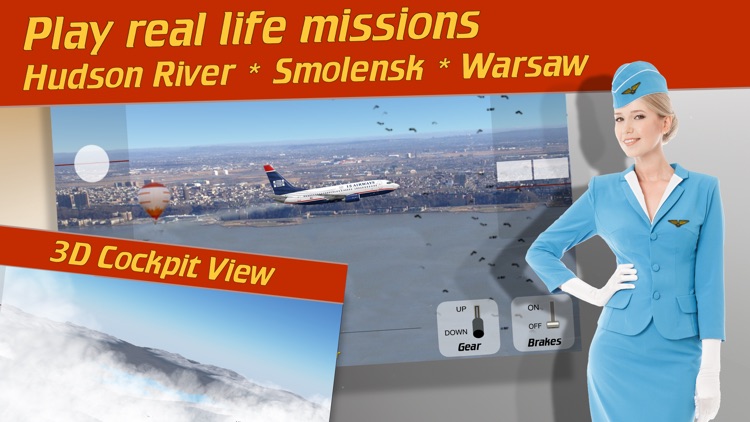737 Flight Simulator