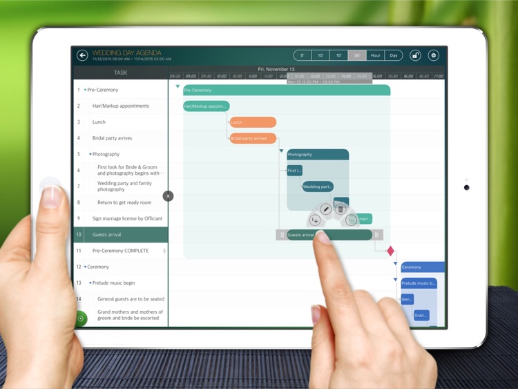 iAgenda - Schedule agenda on Gantt chart