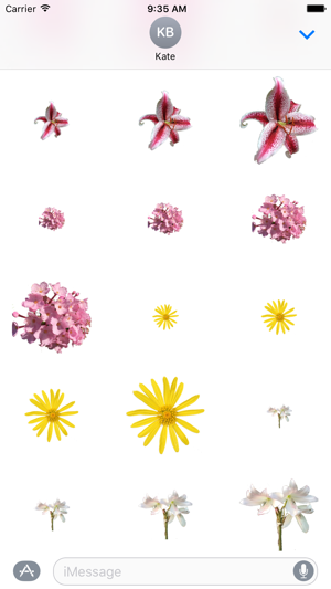 Flower Stickers 花貼紙(圖2)-速報App