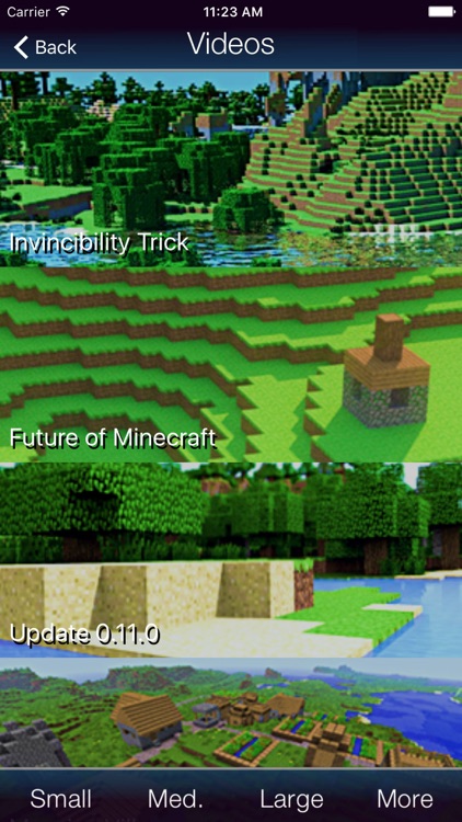 Bases for Minecraft screenshot-3