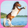 Find the Pair : Ponies : Free Matching Game