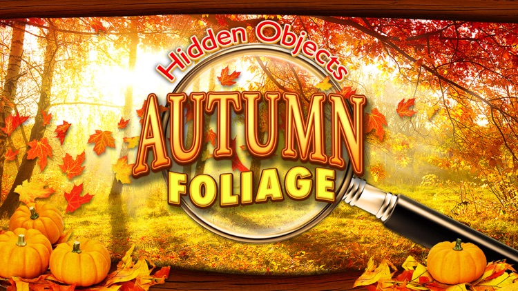 Hidden Objects Autumn Fall & Halloween Harvest Pic