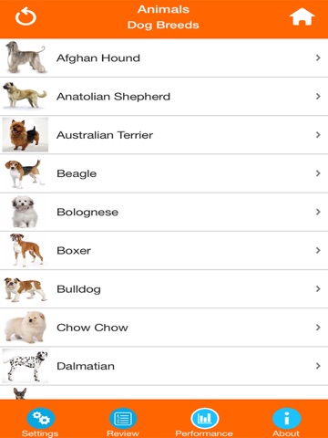 Dog Breeds Quizzes screenshot 4