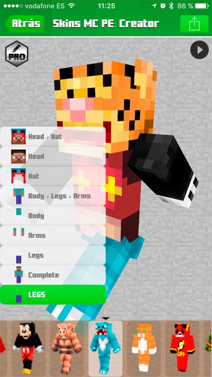 Skins Minecraft PE & PC Edition - Girls Boys Skins