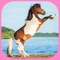 Find the Pair : Ponies : Free Matching Game