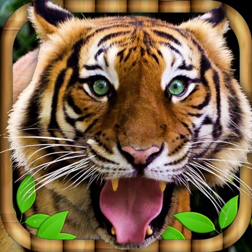 Dangerous Tiger Simulator Icon