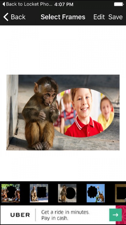 Funny Monkey Photo Frames New 3D Art Animal Editor screenshot-3