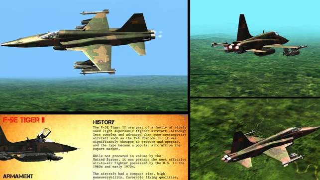 Gunship III - Flight Simulator - STRIKE PACKAGE(圖3)-速報App