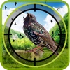 Hunt The Birds : A Real Shooting Adventure