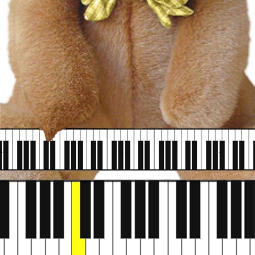 Teddy Piano Tutor HD icon