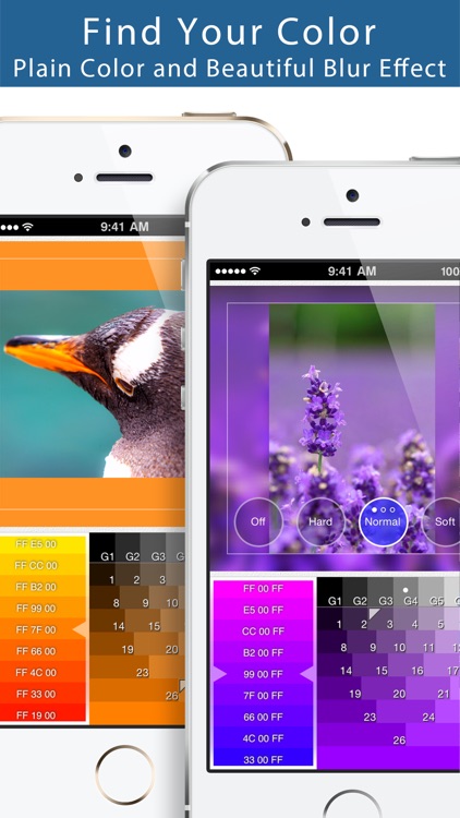 Squaready Pro screenshot-3
