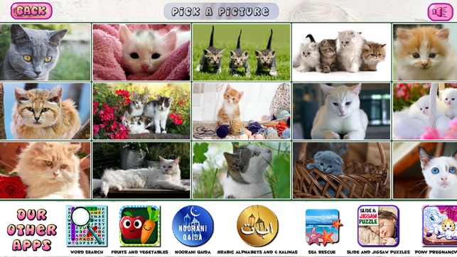 Puzzles of Kittens(圖3)-速報App