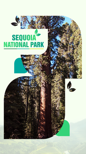 Sequoia National Park Travel Guide