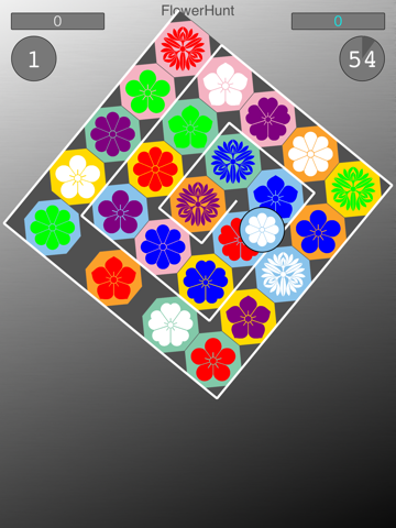 FlowerHunt* screenshot 3