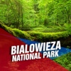 Bialowieza National Park Tourism Guide