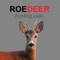 Roe Deer Calls for Deer Hunting