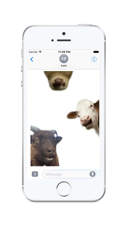 Animal Photobombs - Free, Classic, Horse, Llama