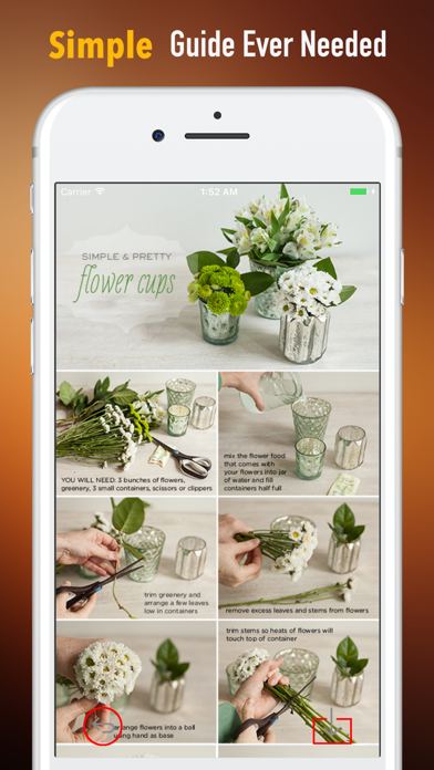 Flower Arrangement 101|Tutorial Guide and Tips screenshot 2