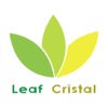 Leaf Cristal