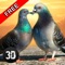 Fly in the sky and live the life of real pigeon playing our new Pigeon Bird Survival Simulator 3D game