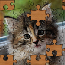 Activities of Jigsaw Puzzles!