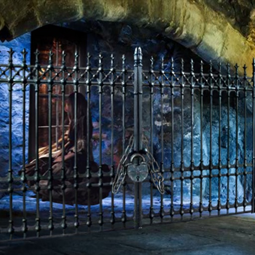 Escape Game Castle Tunnel Princess Icon