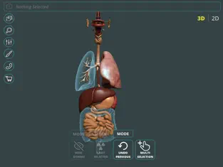 Captura 2 Visual Anatomy 3D | Human iphone