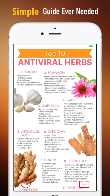 Herbal for Beginners:Natural Medicine Treatment