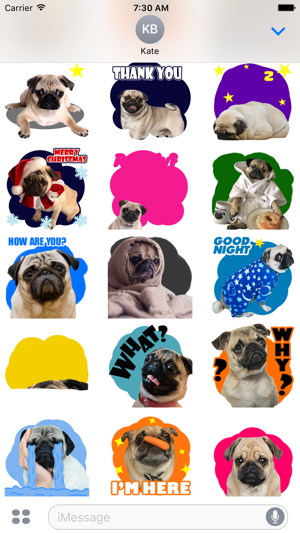 Handsome Pug Puppy Animated(圖2)-速報App