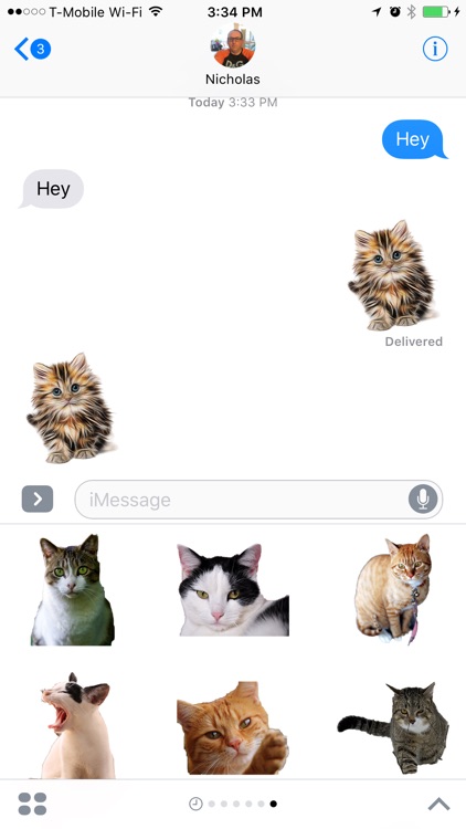 Funny Cat Stickers