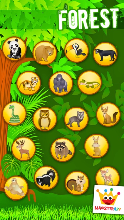 Forest - Kids Coloring book games for boys & girls