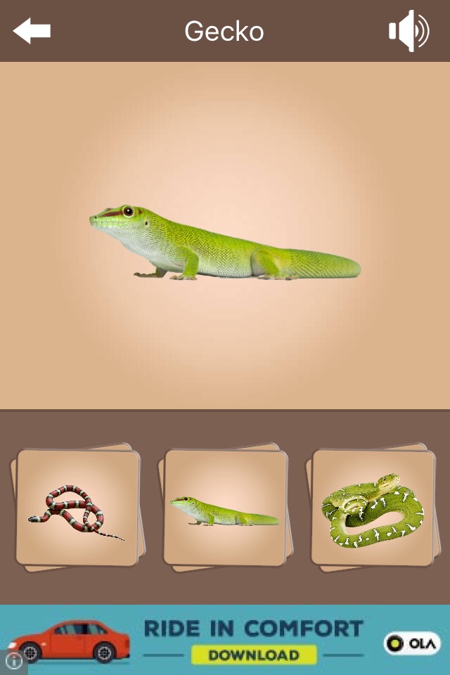 Kids Zoo - Vertebrates screenshot 2