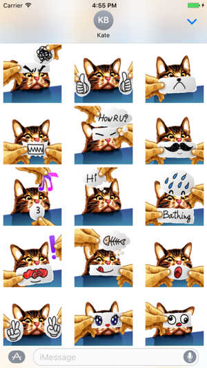 Meme Cat Sticker(圖3)-速報App