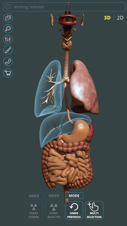 Visual Anatomy 3D | Human