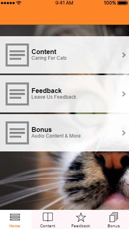 Caring For Cats - Ultimate Guide