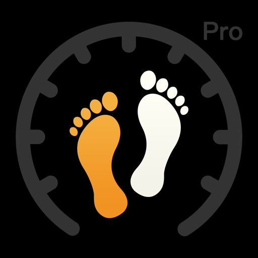 Pedometer Plus Pro-Count Moving Steps