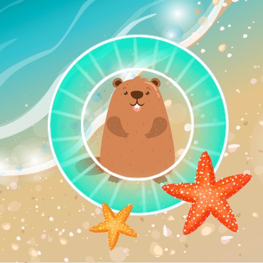 Sea Zorb 2016 iOS App