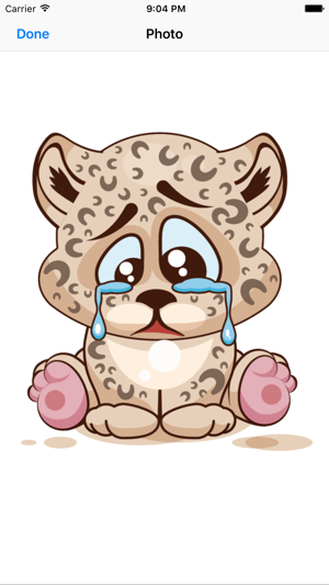 Cute Leopard(圖4)-速報App